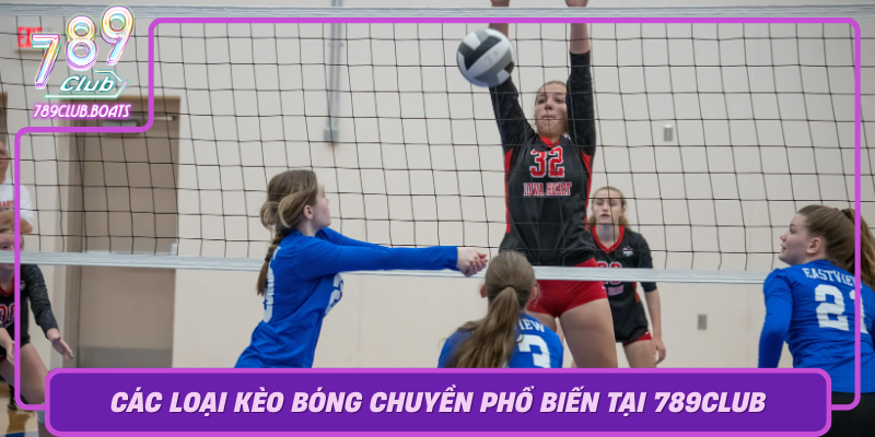 Cac Loai Keo Bong Chuyen Pho Bien Tai 789Club