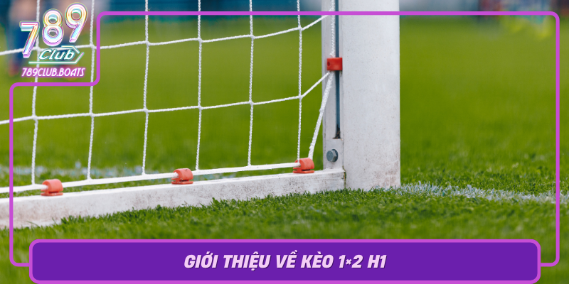 Gioi Thieu Ve Keo 1X2 H1 Co Hoi Sinh Loi Trong Thi Truong Ca Cuoc