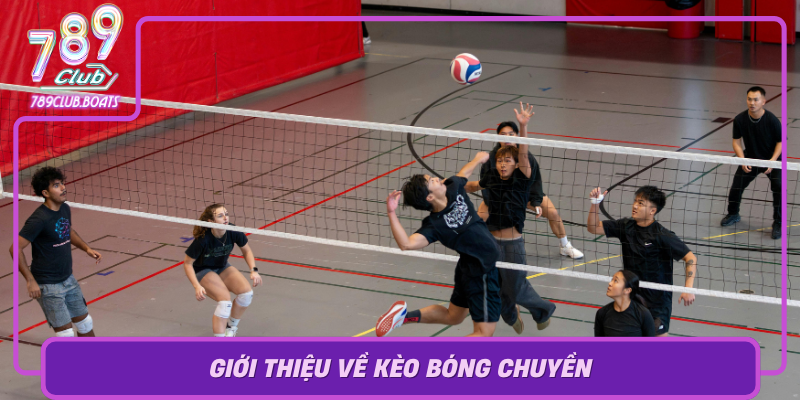 Gioi Thieu Ve Keo Bong Chuyen Chia Khoa Chien Thang Trong Game Ca Cuoc