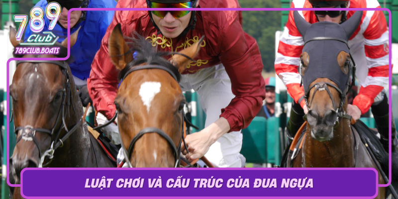 Luat Choi Va Cau Truc Cua Dua Ngua