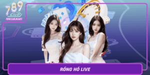 Rong Ho Live Kham Pha San Choi Day Hap Dan Tai 789Club