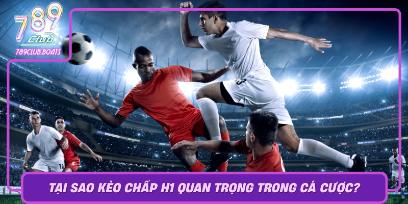 Tai Sao Keo Chap H1 Quan Trong Trong Ca Cuoc