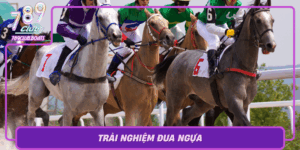 Trai Nghiem Dua Ngua Ket Hop Truyen Thong Va Hien Dai