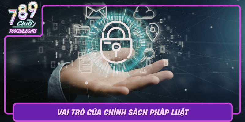 Vai Tro Cua Chinh Sach Phap Luat Trong Bao Ve Quyen Rieng Tu
